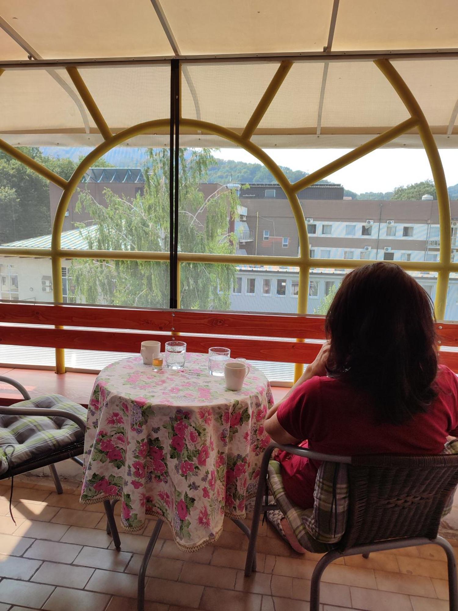 Vila Zora Apartman Banja Koviljača Екстериор снимка